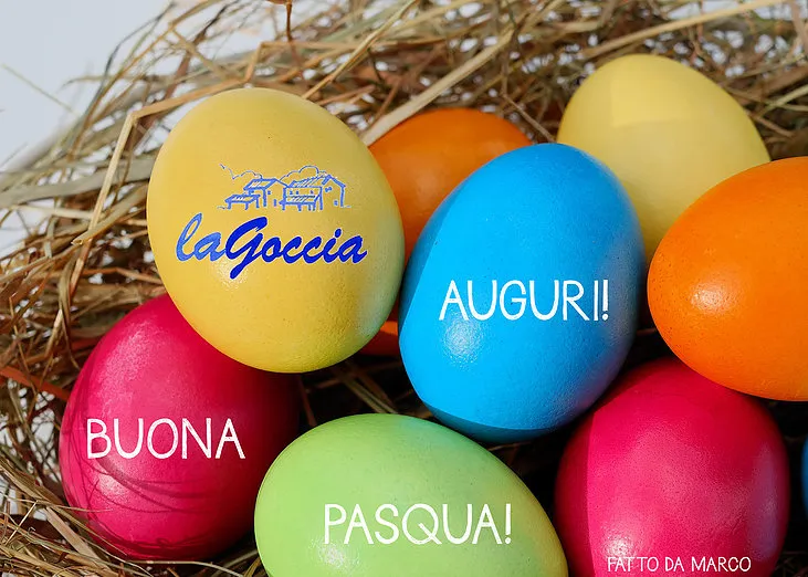 Alberto vi augura buona Pasqua